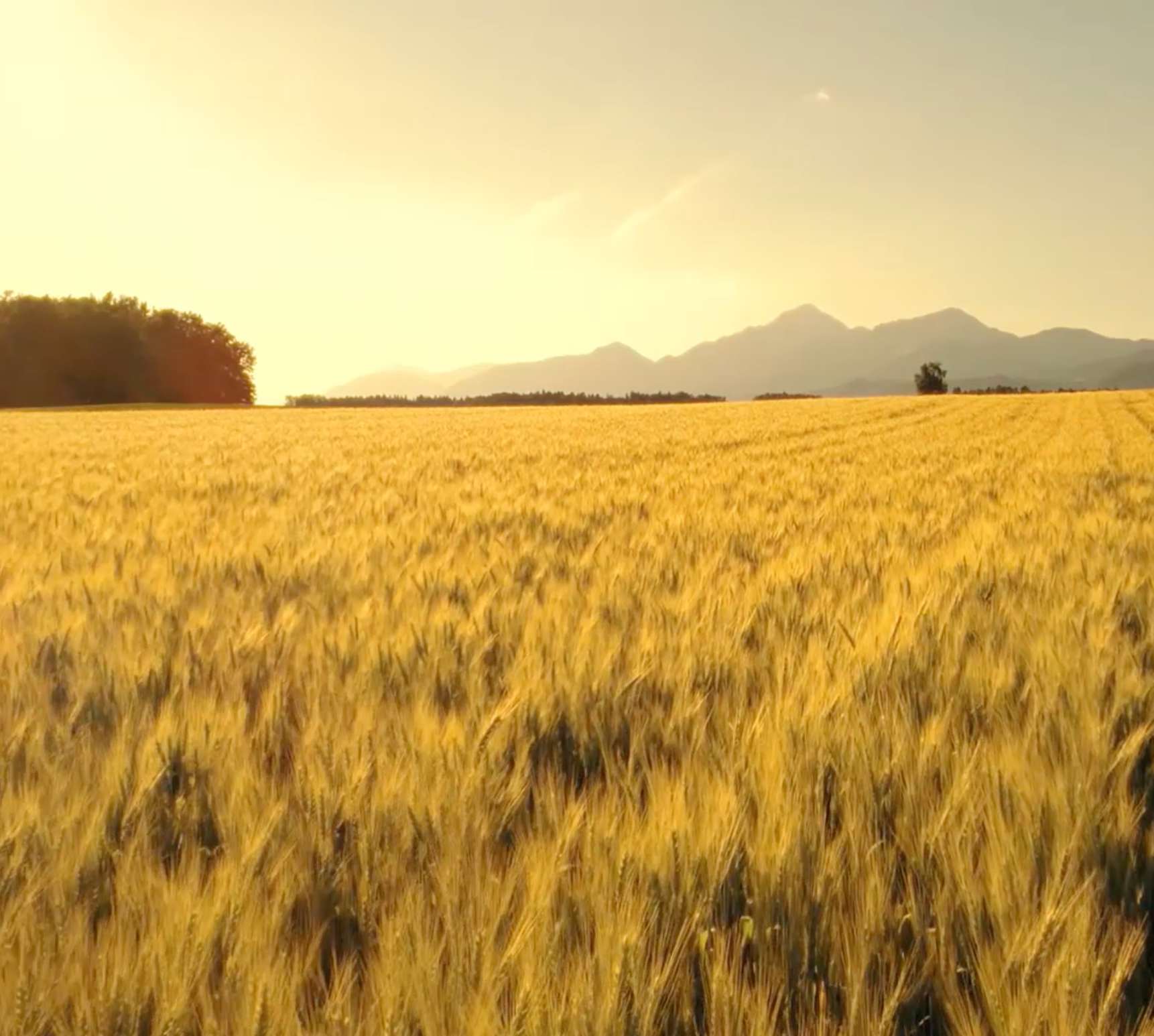 Traditional Craftsmanship